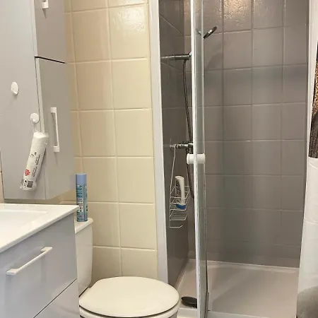 Charming T3 With Balcony In Apartment